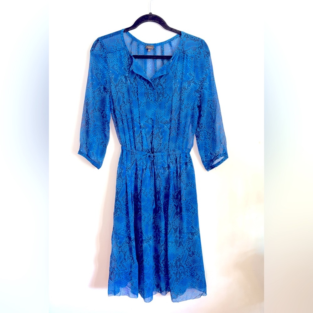Aritzia Babaton Silk Dress